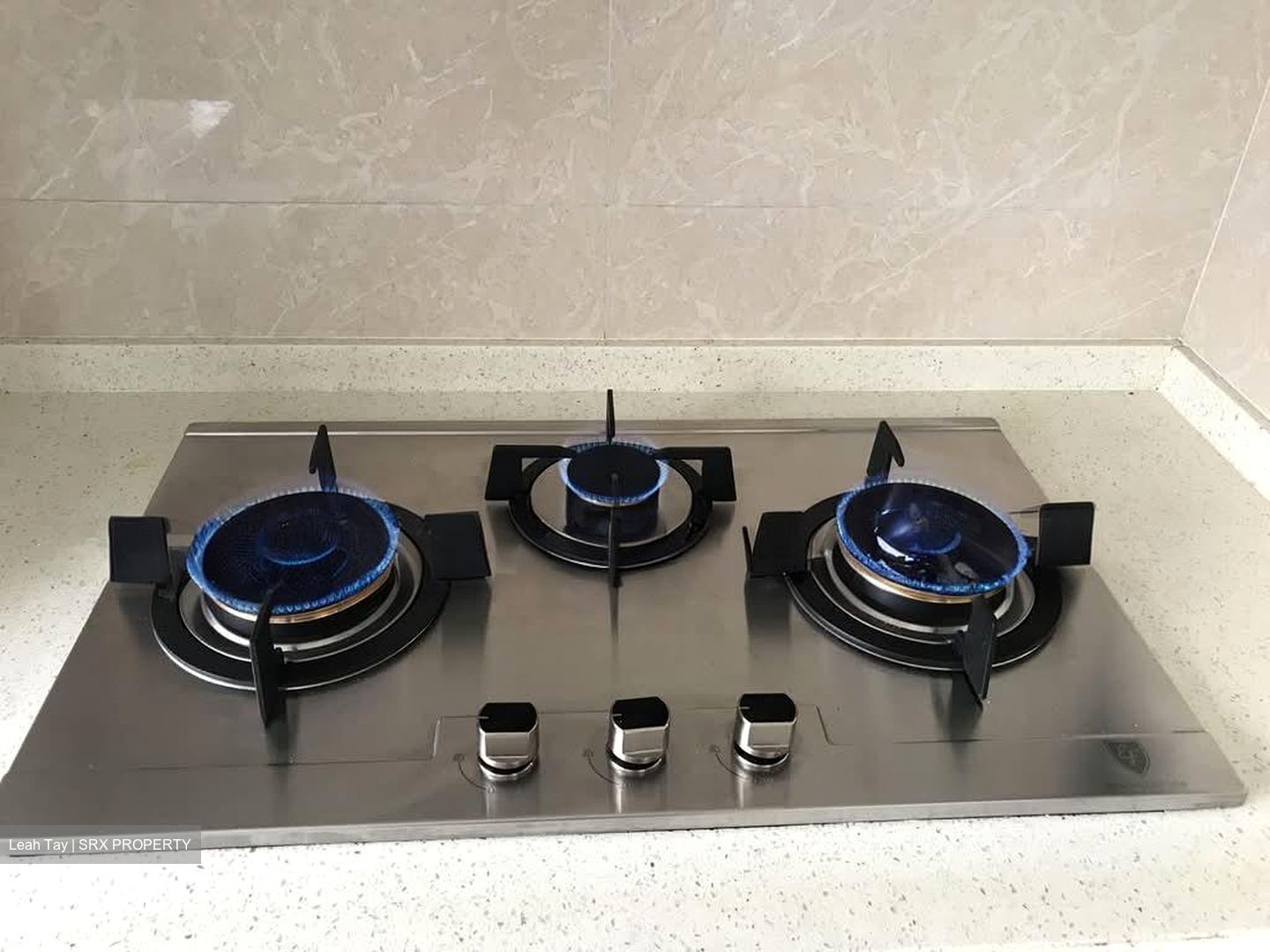 Blk 148 Bishan Green (Bishan), HDB 3 Rooms #607306971